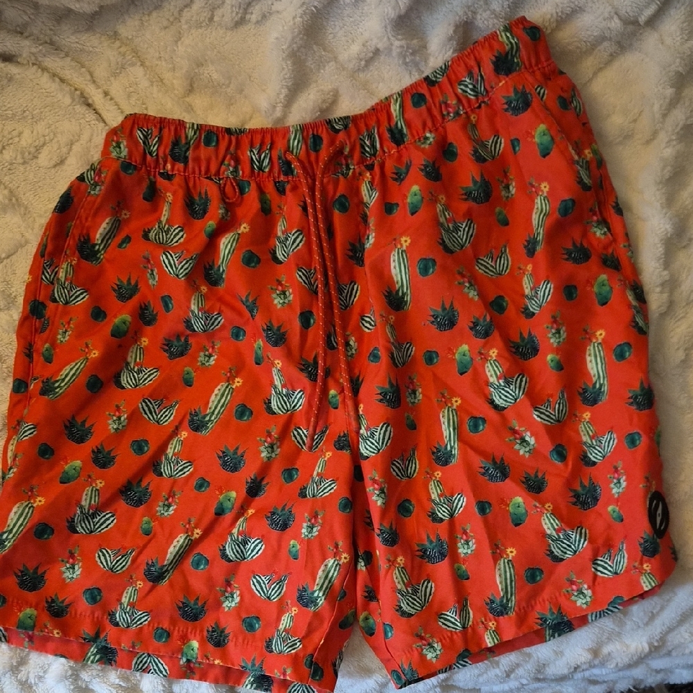 Vibrant Cactus Print Men's Swim Trunks